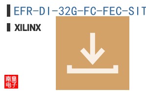 EFR-DI-32G-FC-FEC-SITE