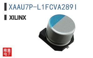 XAAU7P-L1FCVA289I