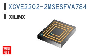 XCVE2202-2MSESFVA784