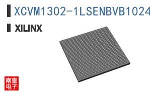 XCVM1302-1LSENBVB1024