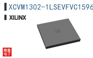 XCVM1302-1LSEVFVC1596