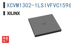 XCVM1302-1LSIVFVC1596