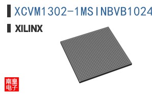 XCVM1302-1MSINBVB1024