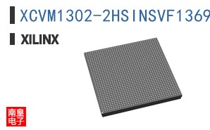 XCVM1302-2HSINSVF1369