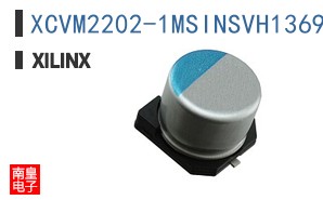 XCVM2202-1MSINSVH1369