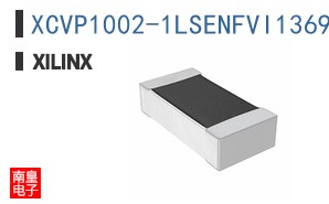XCVP1002-1LSENFVI1369