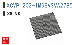XCVP1202-1MSEVSVA2785