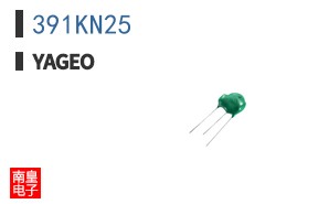 391KN25
