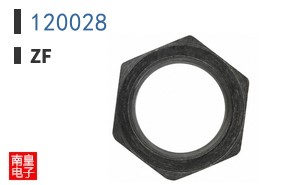 120028