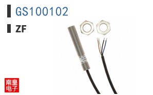 GS100102