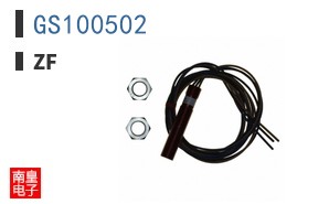 GS100502