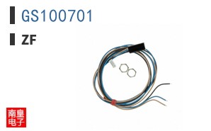 GS100701