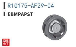 R1G175-AF29-04