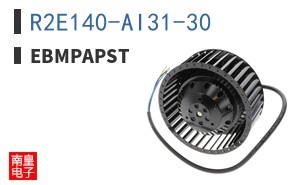 R2E140-AI31-30