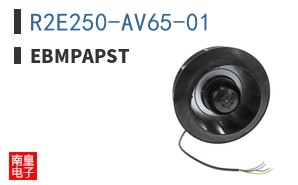 R2E250-AV65-01