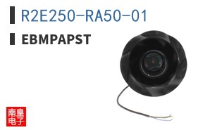 R2E250-RA50-01