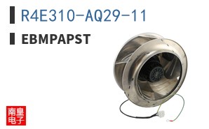 R4E310-AQ29-11