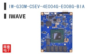 IW-G30M-C5EV-4E004G-E008G-BIA