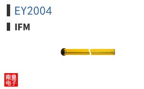 EY2004
