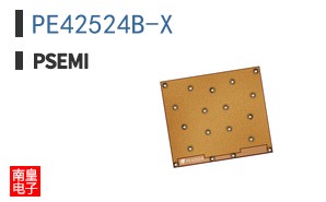 PE42524B-X