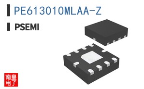 PE613010MLAA-Z