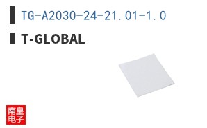 TG-A2030-24-21.01-1.0
